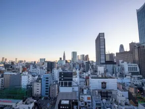 APA Hotel Higashi Shinjuku Kabukicho Tower - Vista dalla camera