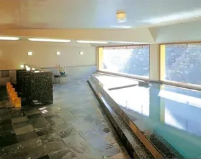 Nishiyama Onsen Keiunkan - Spa