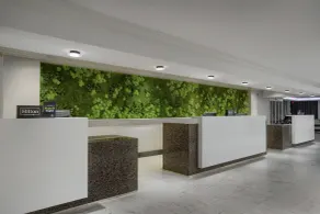 奧蘭多環球影城希爾頓逸林飯店 - 接待櫃台