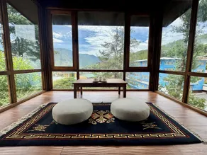Dzi Pema - View from room
