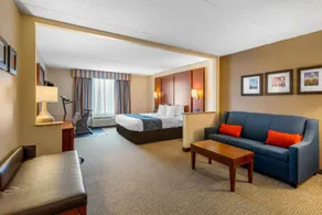 Comfort Suites Manassas Battlefield Park - Chambre