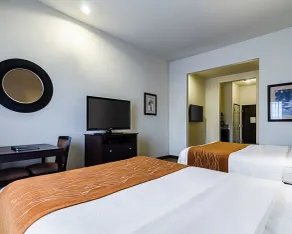 Comfort Inn & Suites Lawrence - University Area - Chambre