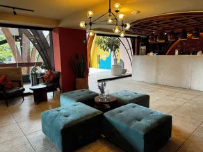 Hotel Olá Chapultepec - Reception