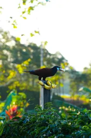 Eco Granja Don Lolo - Restaurant