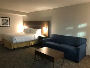 Holiday Inn Express & Suites Camarillo by IHG - Chambre