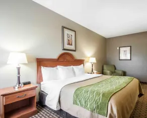 Comfort Inn Willow Springs US 60 and US 63 - Chambre