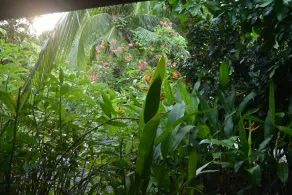 Indigo Yoga Surf Resort - View from room