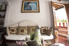 Hotel Mi Casita - Coin salon dans le hall