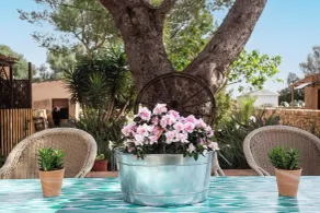 Finca Sa Canova Agroturismo - Vue de la chambre