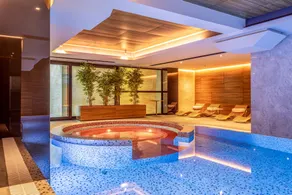 Hotel Royal Putnik - Piscina