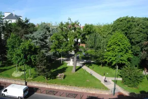 Grand Hôtel Le Plessis-Robinson - Vue de la chambre