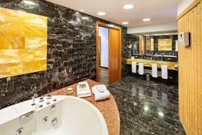 Austria Trend Hotel Ljubljana - Bagno