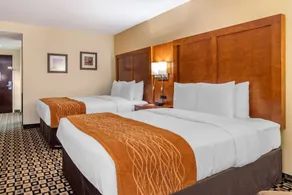 Comfort Inn & Suites Athens North - Chambre