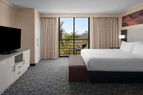Embassy Suites by Hilton Phoenix Biltmore - Vue de la chambre