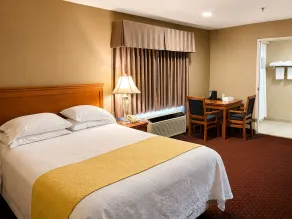 Burbank Inn and Suites - Rom