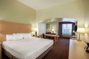 La Quinta by Wyndham Odessa North - Chambre