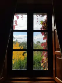 A Quinta Da Auga Hotel Spa Relais & Chateaux - Udsigt fra værelset