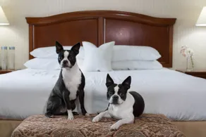 Rogue Regency Inn Medford Airport - Chambre