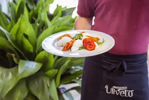 Masseria L'Uliveto Agri Resort - Restaurant