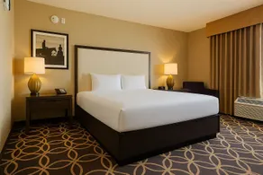 Zia Park Hotel - Chambre