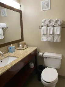 Comfort Inn Near Kokomo Speedway - Salle de bain