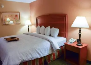 Quality Inn Florissant-St Louis - Chambre