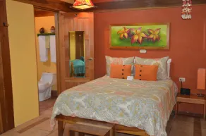 Physis Caribbean Bed & Breakfast - Room