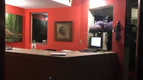 Park Hotel Mantiqueira - Réception