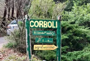 Agriturismo Corboli - Unterkunftsgelände
