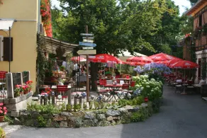 Bräustüberl Schönbrunn - Hotel & Restaurant - Restaurant