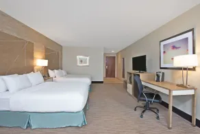 Holiday Inn Express & Suites New Cumberland by IHG - Chambre