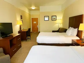 Comfort Inn & Suites, Odessa I-20 - Chambre
