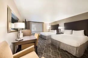 Best Western Danville Sycamore Inn - Chambre