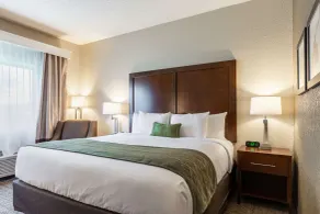 Comfort Inn South Tulsa - Woodland Hills - Chambre