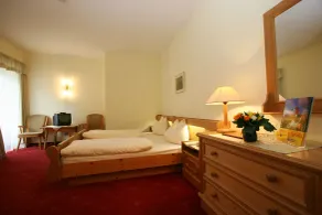Single room, shower or bath, toilet - Habitación