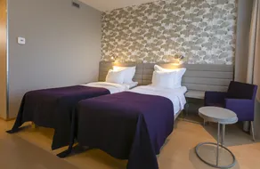 Spa Tervise Paradiis - Room