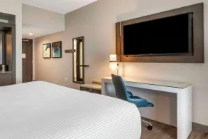 Cambria Hotel Orlando Airport - Chambre