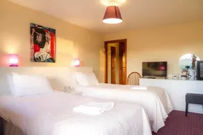 The Hanmer Arms - Room