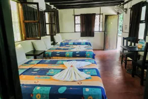 Cabañas Kin Balam Palenque - Ausblick vom Zimmer