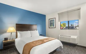 My Place Hotel-Savannah Airport/Pooler, GA - Værelse