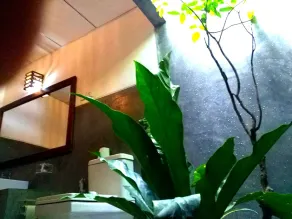 Habarana Tree House Ambasewana Resort - Bathroom