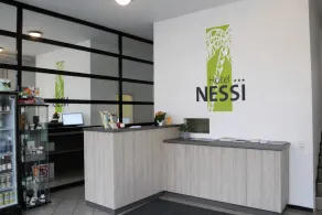 Hotel Nessi Locarno - Réception