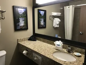 C'mon Inn Bozeman - Bathroom
