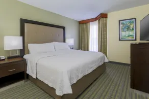 Homewood Suites by Hilton St. Petersburg Clearwater - Chambre