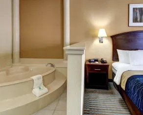 Comfort Inn Corsicana East - Chambre