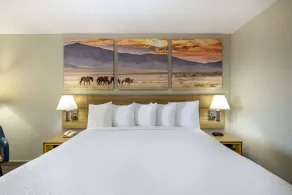 Days Inn by Wyndham Roswell - Chambre