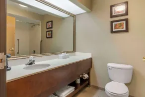 Comfort Inn Charlotte - Badezimmer