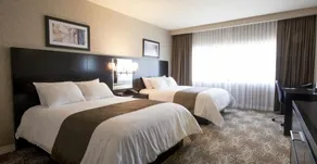 DoubleTree by Hilton Hotel Binghamton - Chambre