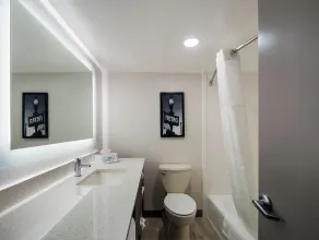 Comfort Inn Falls Church - Tysons Corner - Salle de bain