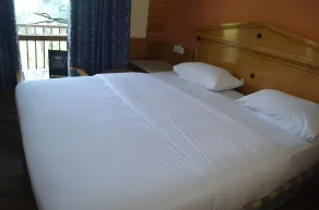 Hari Om Paradise - Room